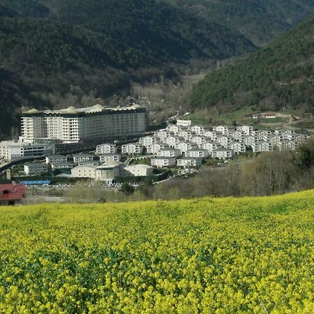 Sarot Thermal Vadi Tatil Koyu - Halal Hotel Bolu Exteriér fotografie